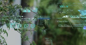 AR dashboard appearing before branch, animating bar charts and gauges showing live data updates. Futuristic, technology, innovation, digital, natural, eco-friendly, data visualization - Powered by Shutterstock - Get 15% off with code: PIKWIZARD15