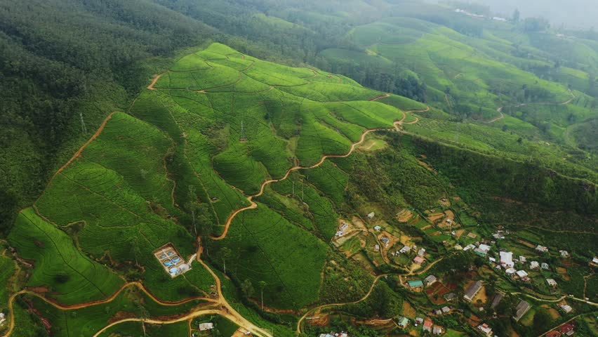 High-quality 4K aerial drone footage captures the breathtaking Sri Lanka highlands with tea plantations and rural villages. Perfect cinematic stock for tourism, lifestyle promo, eco travel and