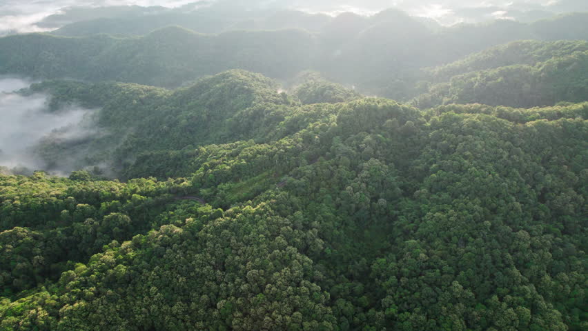 Top view Morning Mist and Viewpoint with Layers of Mountains