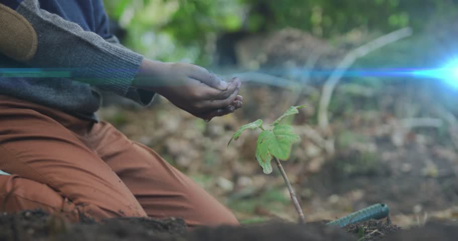 Boy cupping hands under hidden water source and pouring droplets onto sapling for reforestation. Juvenile, conservation, lush, mentorship, eco-friendly, nurturing, natural