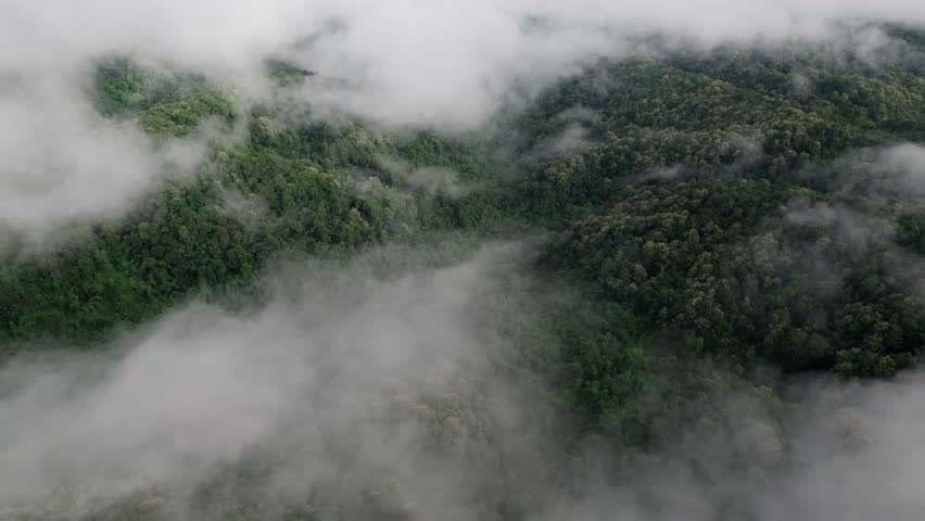 Top view Morning Mist and Viewpoint with Layers of Mountains