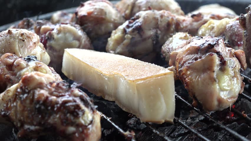 Grill View for Picnic at Camping, Frying Chicken, Fresh Meat and Fat on Barbecue, Cooking Street Fast Food