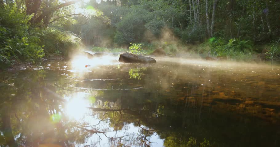 A stream of clear water in a bright lush green forest at sunrise with fog. The mist is rising from the surface creating a reflection. Tilt up.