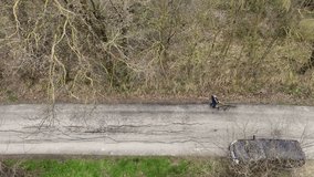 A drone follows a man walking a grey female Great Dane on a cracked road through leafless woods in Martani, capturing the dog’s elegant stride and the quiet rhythm of rural life - Powered by Shutterstock - Get 15% off with code: PIKWIZARD15