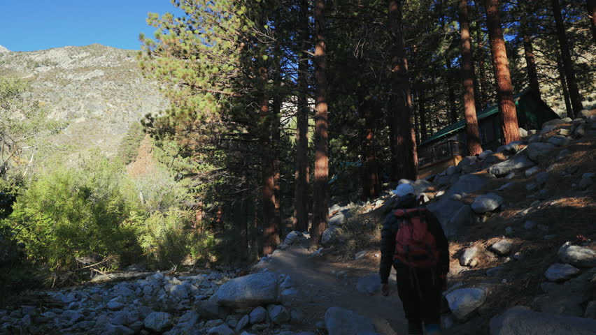 Solo hiker sets off on an exhilarating journey, delving deep into picturesque trail that showcases rocky paths and towering trees, seamlessly blending nature with adventure. Big Pine Lakes, California