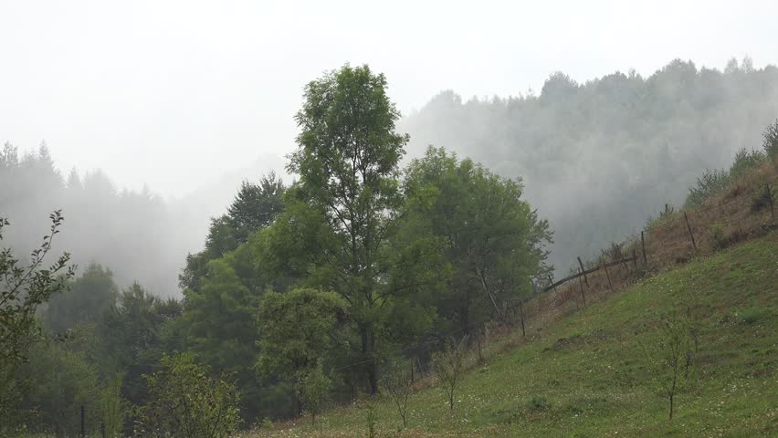 Clouds Heavy Rainy Day, Fog Cloudy Mystical Foggy Forest, Stormy Mist Haze Smoke in Mountains, Alpine Wood Overcast Landscape