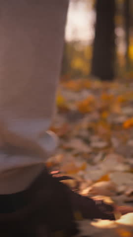 A person strolls along a tranquil trail covered in vibrant autumn leaves. The warm light of late afternoon adds to the serene atmosphere, perfect for enjoying nature's beauty