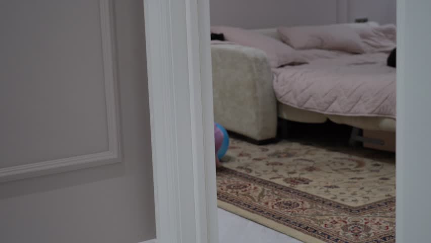 Cozy home features toddler's curious stride towards sleeping dog, innocent gaze, and playful balloons, all set amidst plush furnishings.