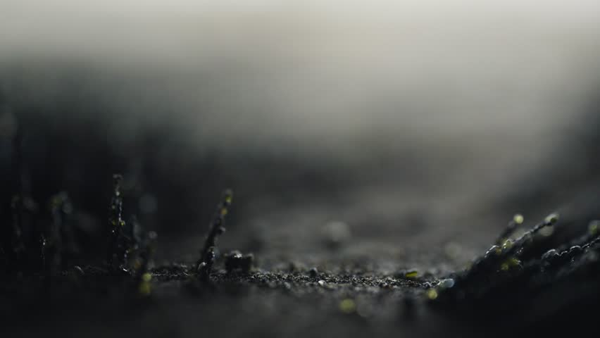 Macro Shot of Volcanic Sand Spikes in Motion