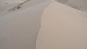 A detail shot of the wind-swept texture of a sand dune in Mongolia. The fine sand is sculpted into delicate ripples and patterns by the wind, creating a natural abstract. - Powered by Shutterstock - Get 15% off with code: PIKWIZARD15