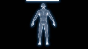 A futuristic animation showcasing a human body scan with a blue hologram effect, ideal for technology and medical themes. - Powered by Shutterstock - Get 15% off with code: PIKWIZARD15