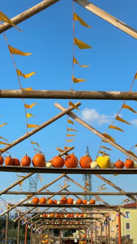Colorful decorative pumpkins arranged on wooden beams of autumn fair roof for Halloween. Cinematic festive display, vibrant seasonal harvest decor, rustic Halloween market scene