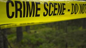 Close up video gliding in front of yellow police forensic investigation tape ribbon pulled in front of a bokeh blurry green and dense forest woodlands area, shallow depth of field. - Powered by Shutterstock - Get 15% off with code: PIKWIZARD15