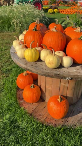 Colorful decorative pumpkins displayed on a rustic wooden table at an autumn harvest fair in October, vibrant seasonal Halloween decor creating festive fall atmosphere