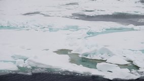 Expansive polar seascape of fragmented sea ice and turquoise melt ponds, with dark open-water leads cutting through the thawing pack, illustrating seasonal change and frozen dynamics - Powered by Shutterstock - Get 15% off with code: PIKWIZARD15