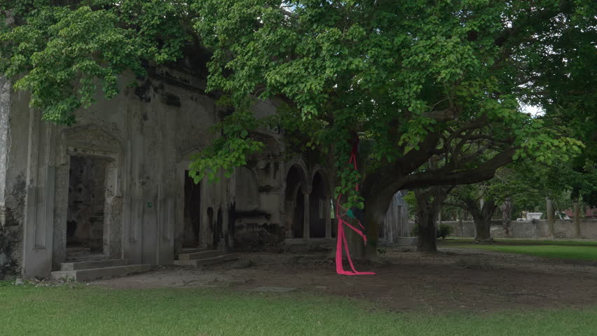 Woman performing graceful aerial silk acrobatics hanging from a ceiba tree in a tropical hacienda, elegant female athlete training outdoors in nature, real-time handheld medium shot.