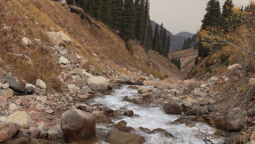 Mountain stream flowing through autumnal valley landscape