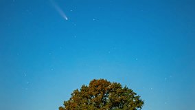 Comet over tree in starry night, peaceful cosmic wonder in Saules parks - Powered by Shutterstock - Get 15% off with code: PIKWIZARD15