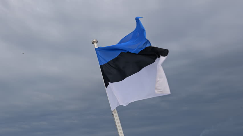Flag of Estonia in wind against cloudy sky. Blue, black and white horizontal tricolour national flag.