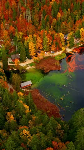 Aerial view of vibrant autumn forest and serene lake with warm colors