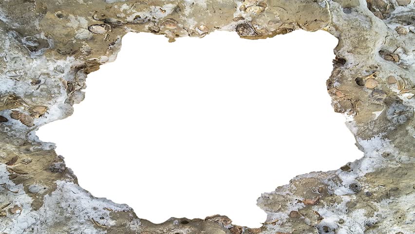 Landscape format blank white frame with irregular seashell texture borders 2d seamless looped animated video