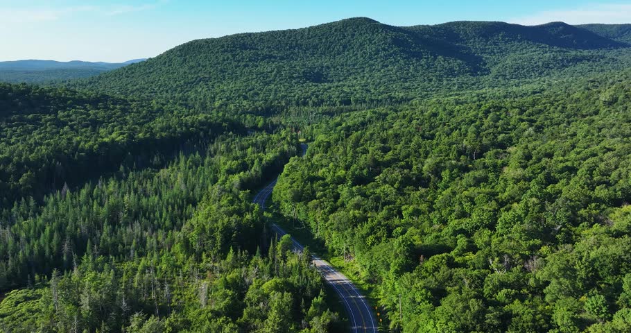 South Pond (Hamilton County, New York) July 22, 2025:  Aerial video of South Pond Lake in the Adirondack Mountains, New York.  