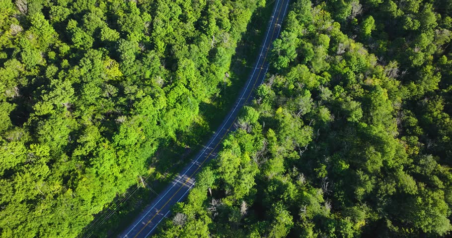 South Pond (Hamilton County, New York) July 22, 2025:  Aerial video of South Pond Lake in the Adirondack Mountains, New York.  