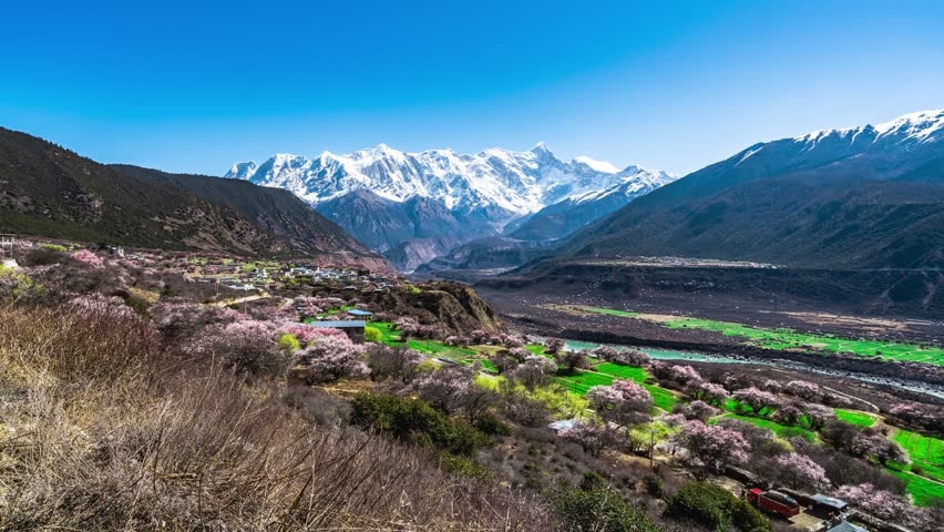 Scenic spring landscape in Linzhi area with blooming peach blossoms, snow-capped mountains, and Yarlung Tsangpo river valley creating stunning natural panorama in Tibet.