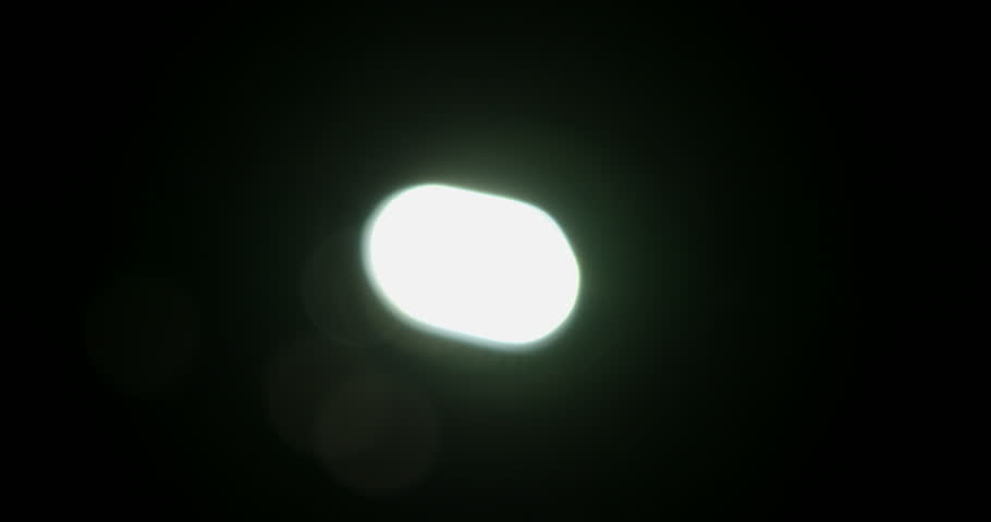 Flying Insect Hovering Close to Light Source at Night