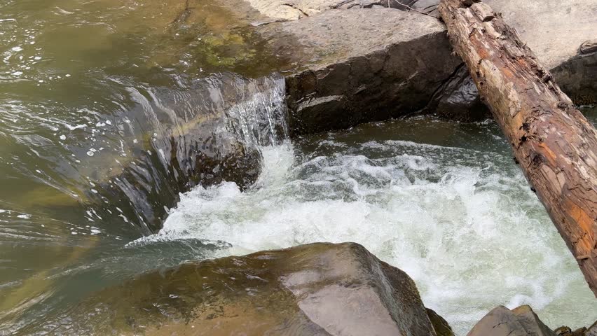 A vertical, close-up shot captures fast-moving white water rapids and a small cascade crashing over dark rocks and a fallen log in a mountain river on a sunny day