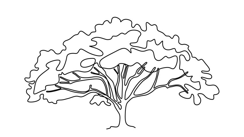 Animated self drawing of continuous line draw tree on white background. Full length one line animation. 4K	