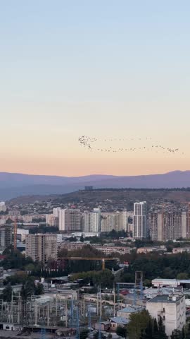City skyline at sunset with flock of birds flying over mountains in the distance