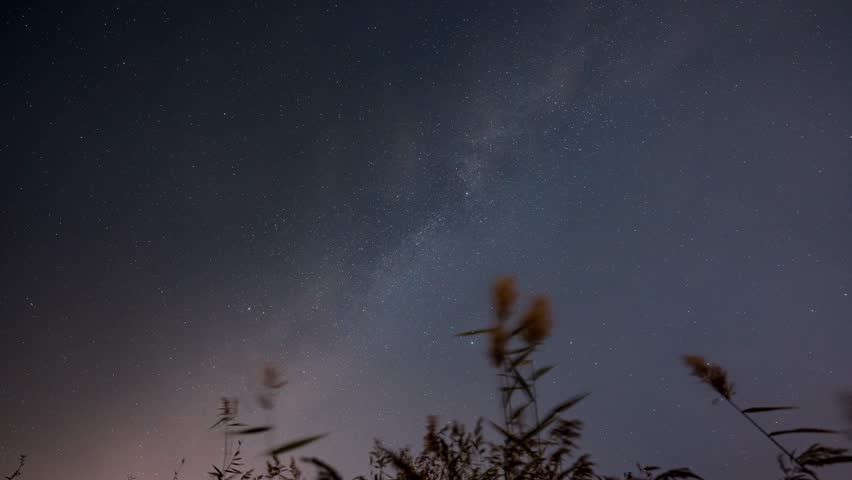 Stunning Milky Way galaxy stretching across starry night sky above silhouetted reeds and marsh grasses, creating a peaceful astronomical landscape scene.