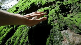 A man’s hand gently touches green moss, feeling its soft texture and natural freshness in a peaceful outdoor setting. - Powered by Shutterstock - Get 15% off with code: PIKWIZARD15