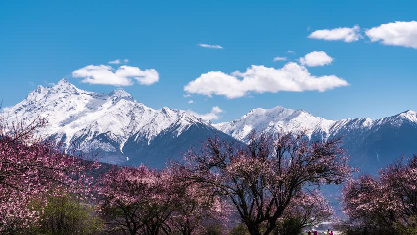 Beautiful spring landscape with pink peach blossoms in foreground and snow-capped mountain peaks under blue sky with white clouds in peaceful village setting.
