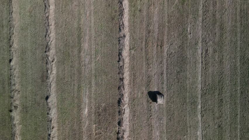 Tractor harvesting grass and making hay bales in field, aerial drone view. Aerial drone footage of a tractor working in an agricultural field during summer. The machine harvests grass and packs it 