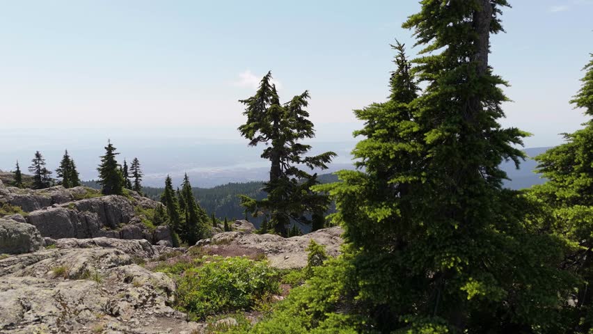 Majestic Mountain Panorama in British Columbia, Canada: Evergreen Trees and Rocky Peaks Overlooking a Distant City