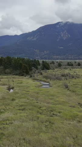 Majestic British Columbia Landscape: Winding River Through Lush Fields and Towering Forests
