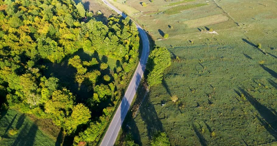 Top-down aerial view flying over a winding road dividing a lush forest and a green field