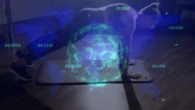 Fitness enthusiast starting plank alternating limbs while analytics sphere tracking balance metrics. Resistance, core, digital, technology, performance, strength, motion - Powered by Shutterstock - Get 15% off with code: PIKWIZARD15