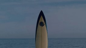 Upon framing surfboard woman entering water performing star jumps boosting health icons drifting. Waves, fitness, vitality, outdoor, serenity, energetic, wellness - Powered by Shutterstock - Get 15% off with code: PIKWIZARD15
