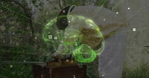 Beekeeper lifting hive frame, inspecting bees, causing green brain tech hologram growing around him. Agriculture, sustainability, innovation, science, outdoor, educational, technology - Powered by Shutterstock - Get 15% off with code: PIKWIZARD15