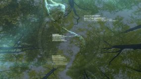 On start, fractal appearing in canopy, twisting then drifting left, code scrolling visualizing data. Nature, data visualization, digital art, ecological, biophilic, motion graphics, vibrant - Powered by Shutterstock - Get 15% off with code: PIKWIZARD15