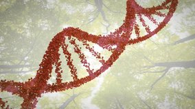 Sunlight filtering through canopy initiating DNA helix rotating and drifting, revealing structure. Biotechnology, molecular, innovation, science, environment, nature, technology - Powered by Shutterstock - Get 15% off with code: PIKWIZARD15