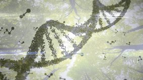 Opening sunlit canopy, DNA helix drifting, rotating with fragments orbiting visualizing structure. Biotechnology, molecular, science, nature, innovation, digital, vibrant - Powered by Shutterstock - Get 15% off with code: PIKWIZARD15