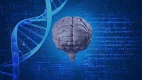 opening animation 3D brain rotating, particles swirling, DNA helix glowing, visualizing data flow. Neuroscience, biotechnology, digitalart, futurism, innovation, dataarchitecture, healthcare - Powered by Shutterstock - Get 15% off with code: PIKWIZARD15