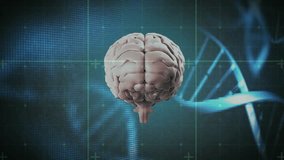 Upon starting, 3D human brain rotating left while golden beam scanning folds for visualization. Neuroscience, symbolism, innovation, futuristic, medical, technology, research - Powered by Shutterstock - Get 15% off with code: PIKWIZARD15