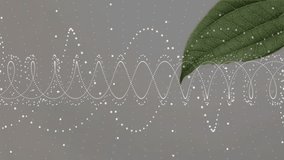 Starting pulsing waveform, green leaf gliding from right, white dots drifting for calm digital mood. Abstract, minimalism, nature, technology, serenity, visualization, biomorphic - Powered by Shutterstock - Get 15% off with code: PIKWIZARD15