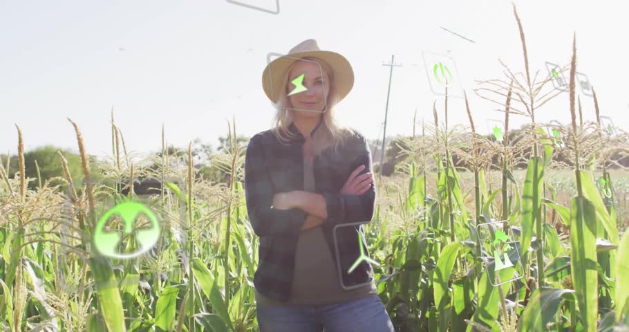Mature farmer standing in cornfield noticing fading sustainable-energy icons floating around her. Agriculture, renewable, eco-friendly, innovation, empowerment, outdoors, environmentalism