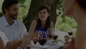 Friends gathering table with salads, man raising wine glass sparking toast celebrating hospitality. Socializing, celebration, leisure, outdoor, elegance, conviviality, tranquil - Powered by Shutterstock - Get 15% off with code: PIKWIZARD15